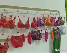 大瀝經濟資訊 鹽步內衣企業細分產品搶占市場份額