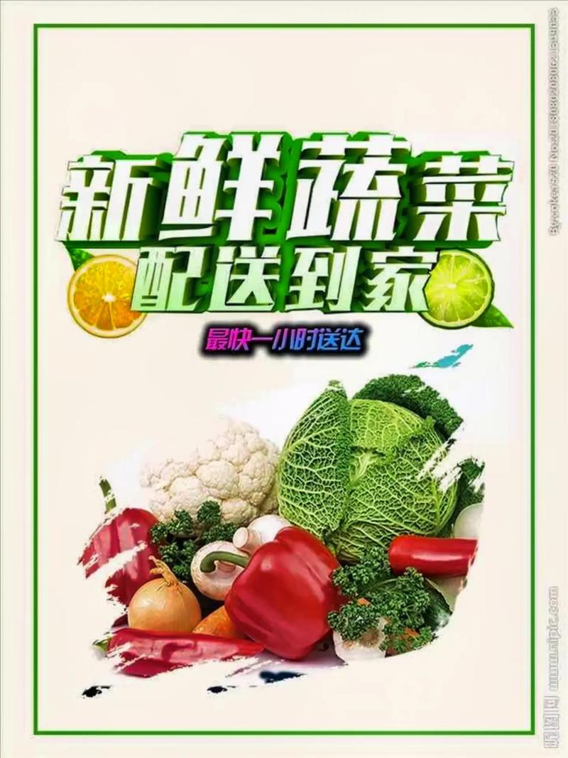 專業(yè)蔬菜批發(fā)配送服務(wù) 為工廠、學(xué)校、醫(yī)院食堂提供新鮮保障